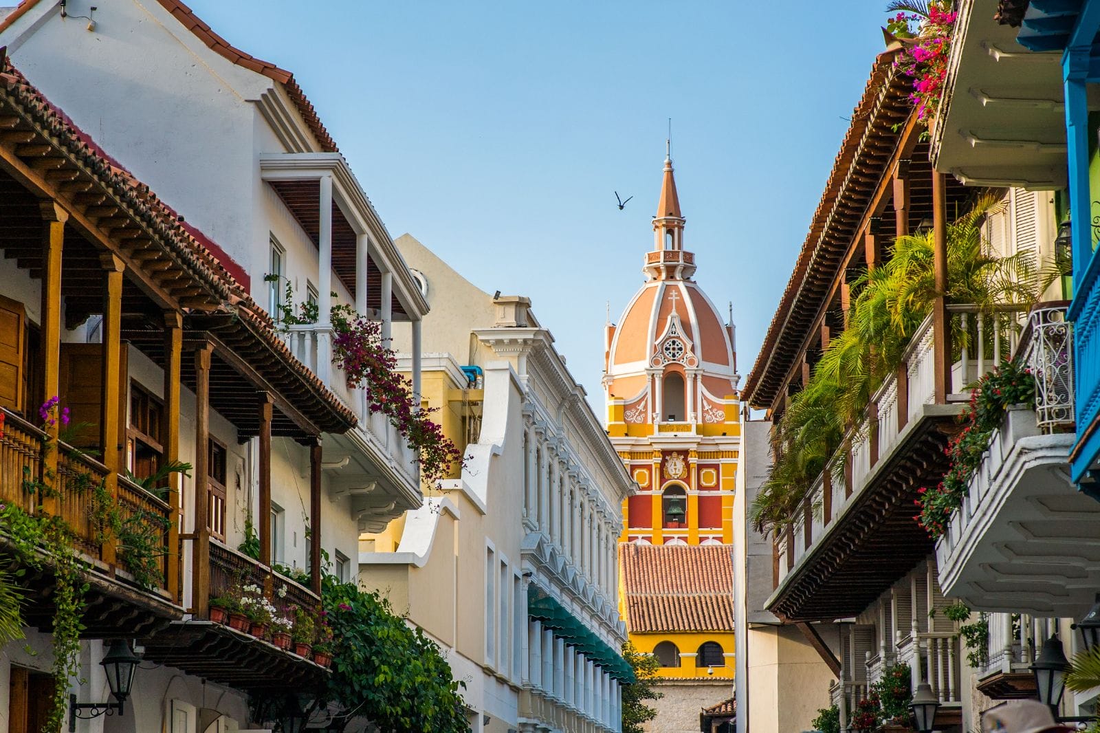 Golden Pathways of Colombia