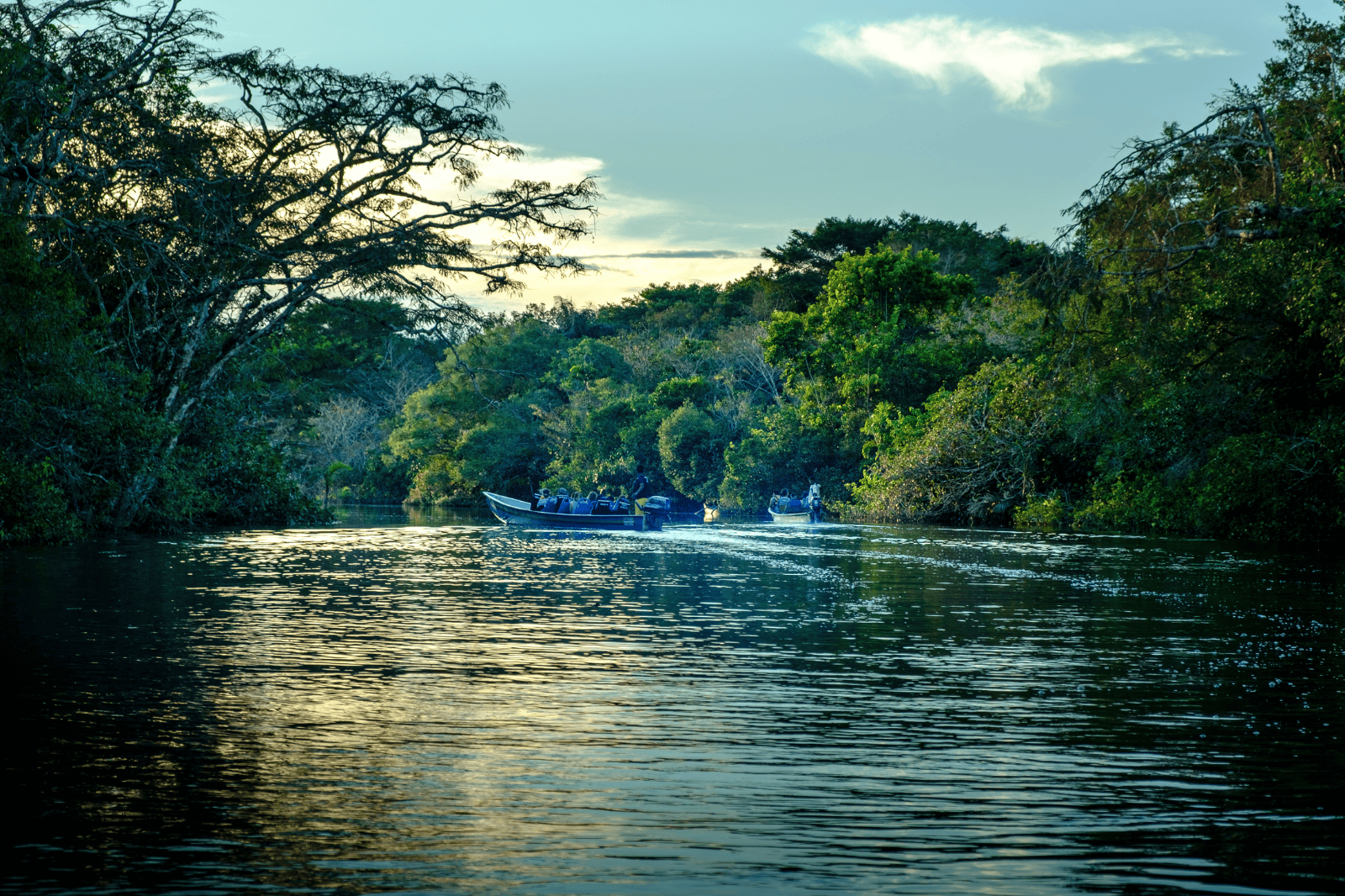 Quito to Amazon (La Selva)