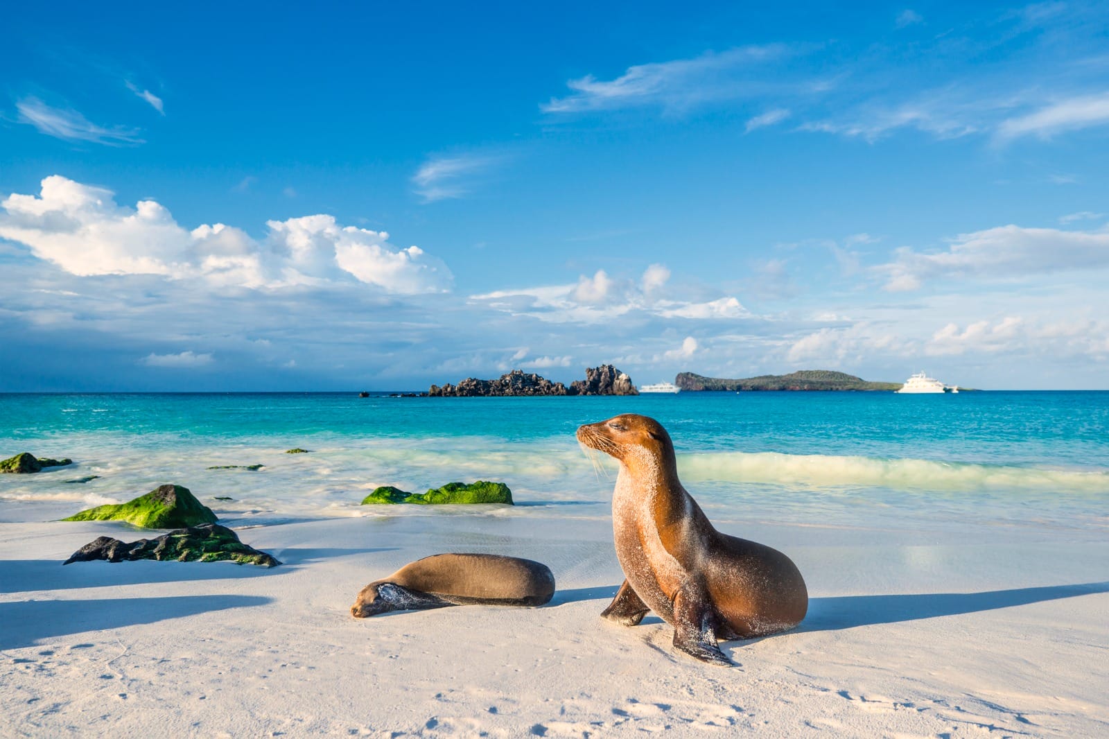 Tales of Ecuador: Amazon to Galapagos