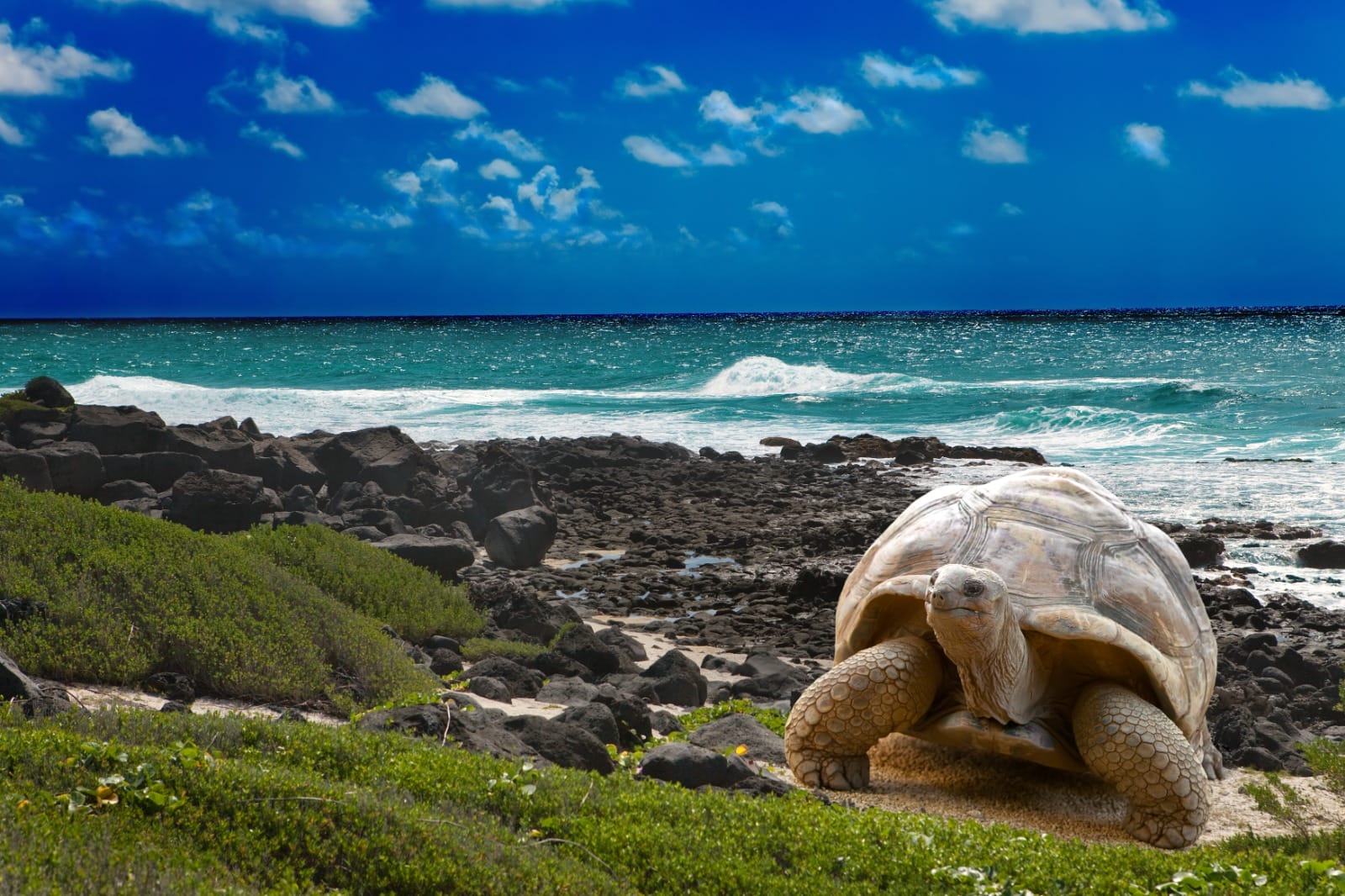 Tales of Ecuador: A Nature Lover’s Escape
