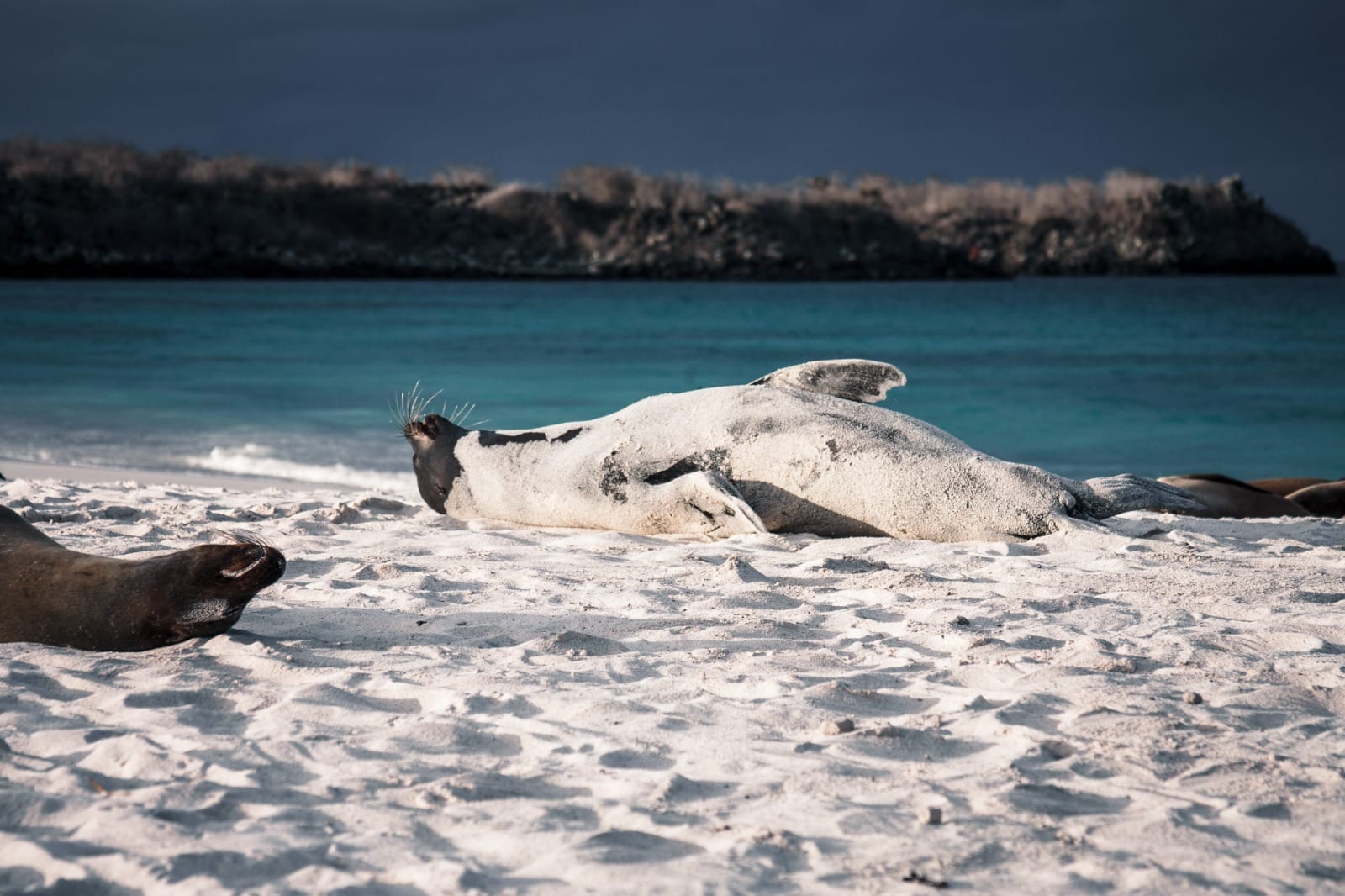 Galapagos Cruise