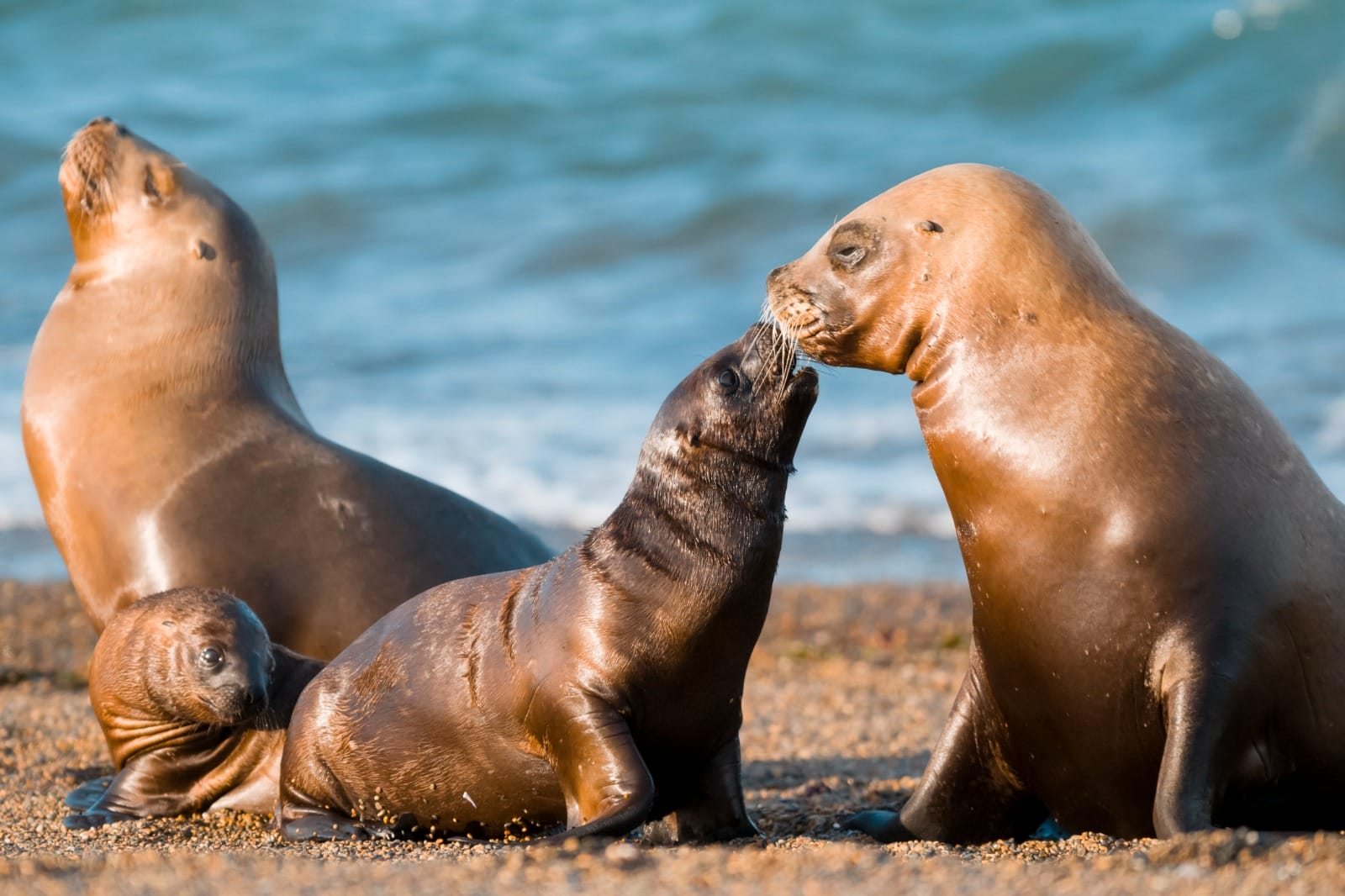 Galapagos Cruise