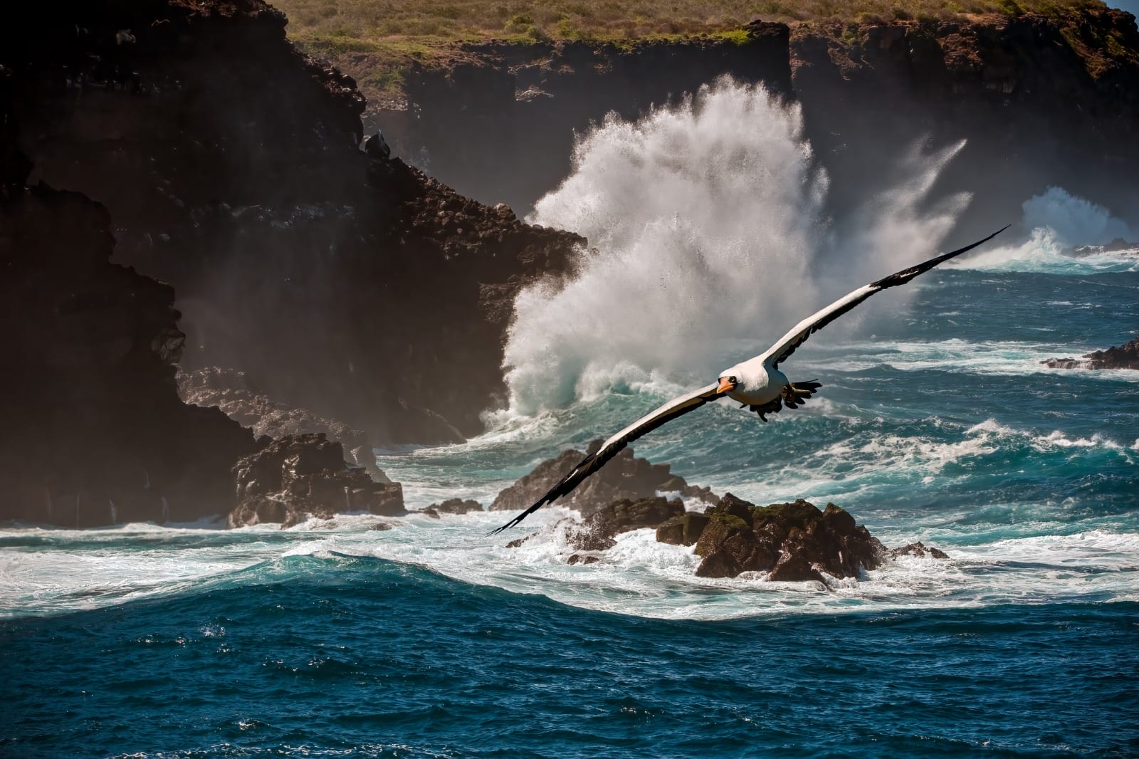 Galapagos Cruise