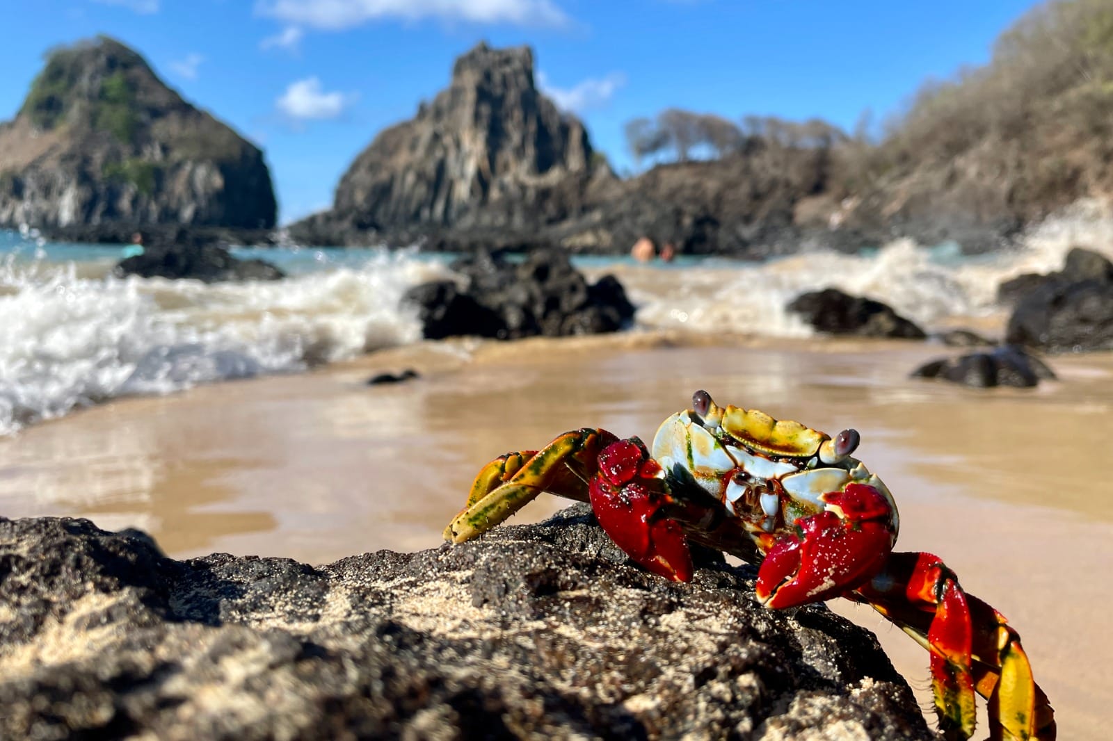 Galapagos Cruise