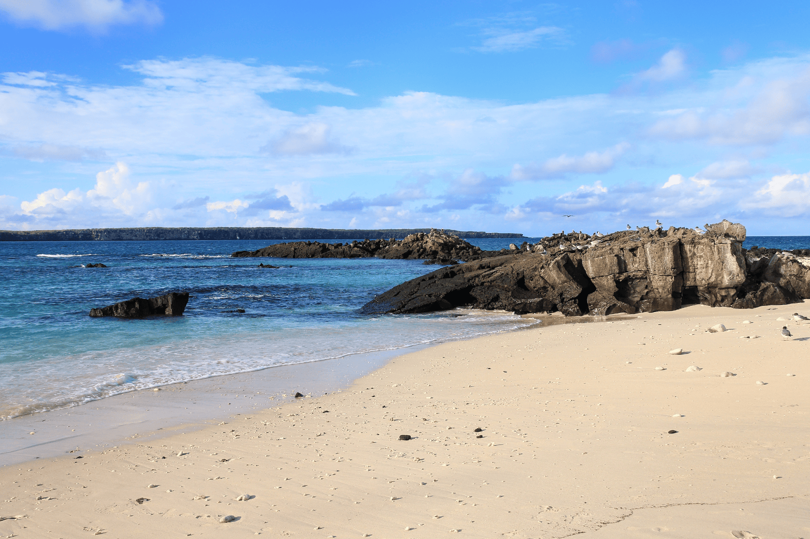 Genovesa Island