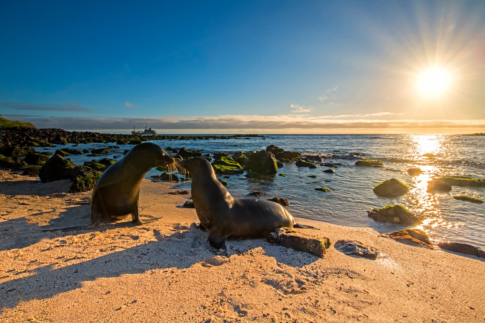 Tales of Ecuador: Quito, Galápagos & Beyond
