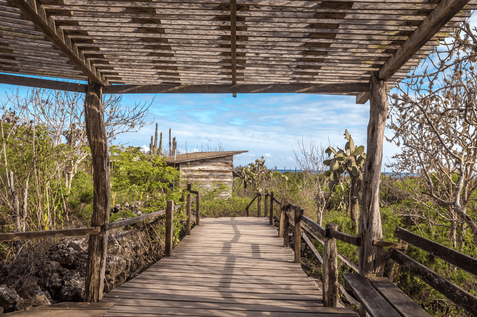 Santa Cruz Island