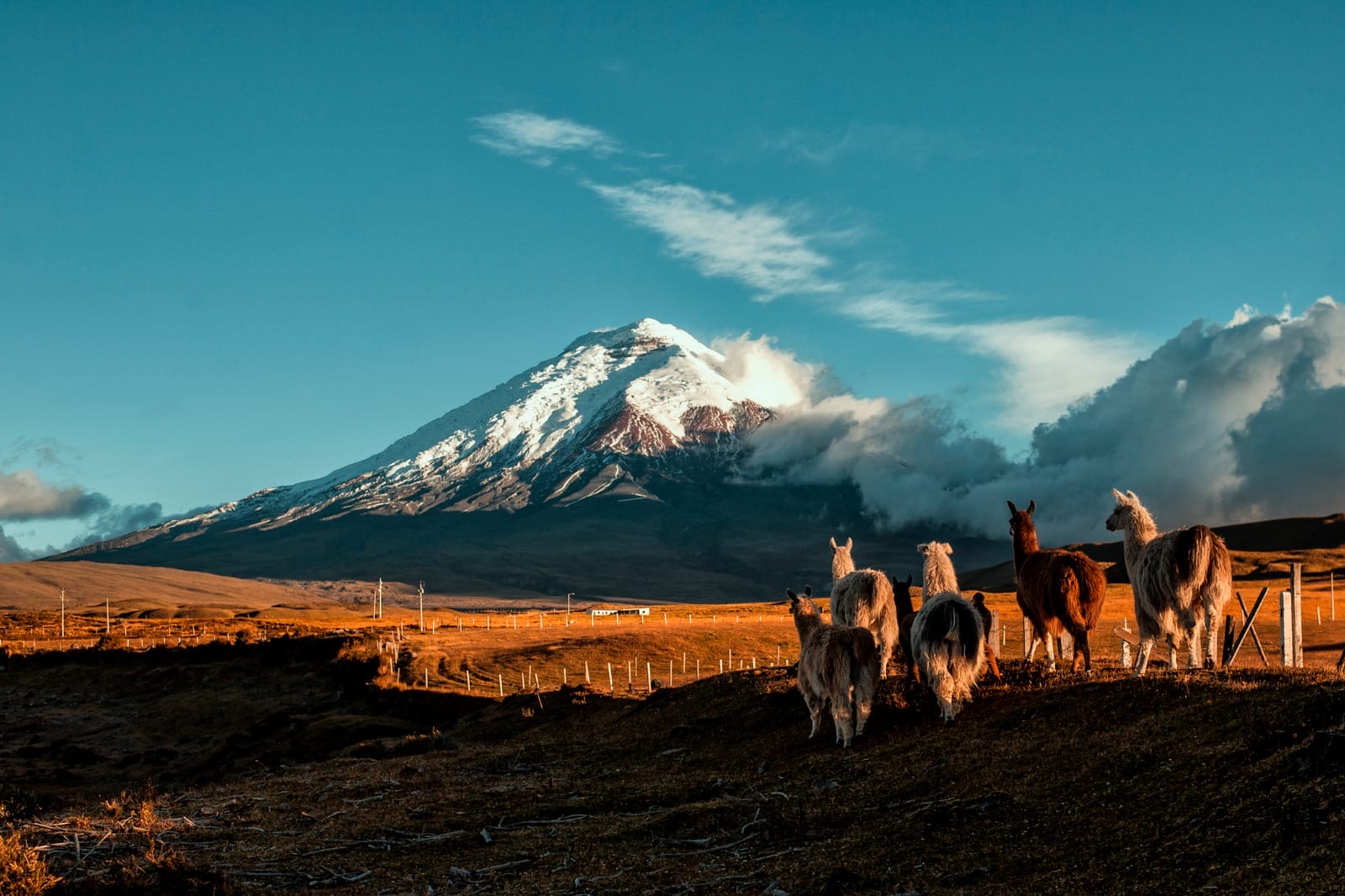 Tales of Ecuador: Land of Endless Wonders