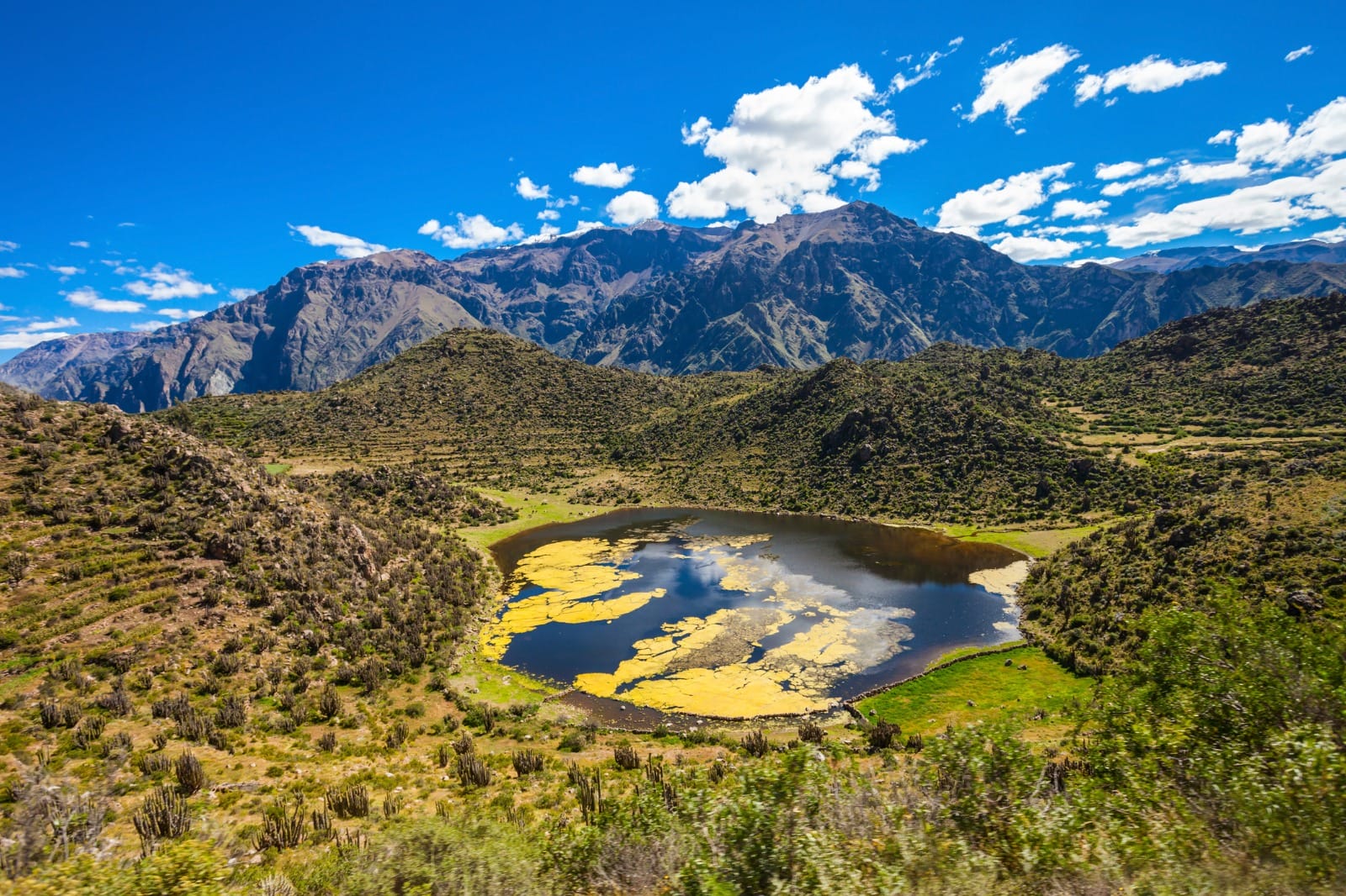 Colca to Puno