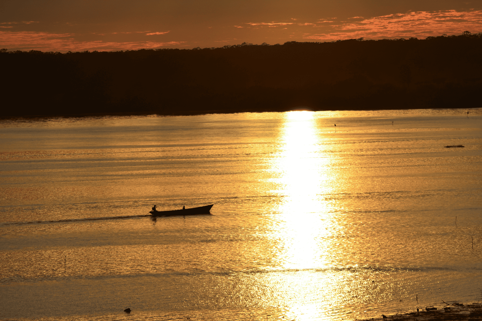 Iquitos