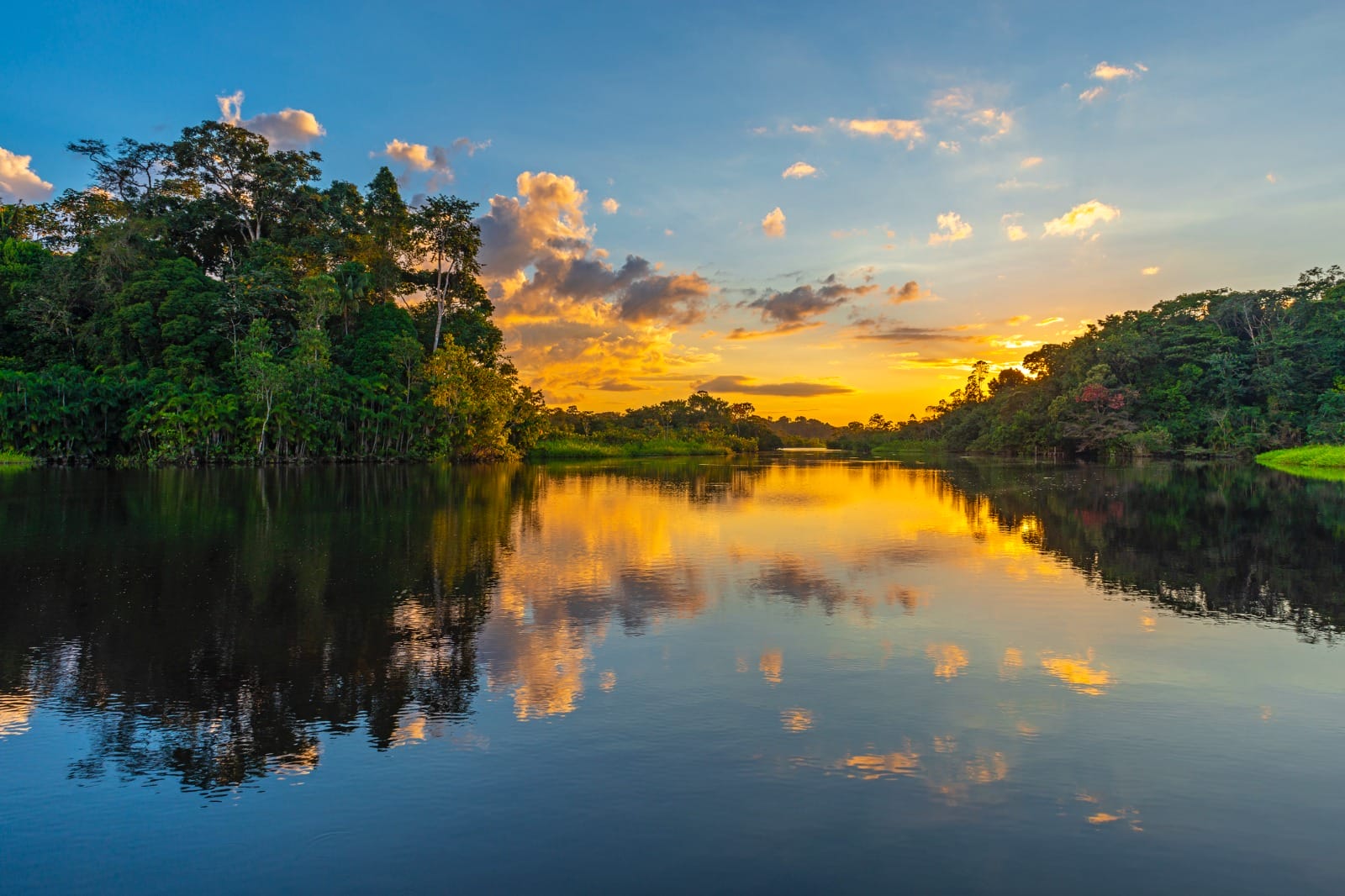 Essence of Peru: Sacred Valley and Amazon Adventure