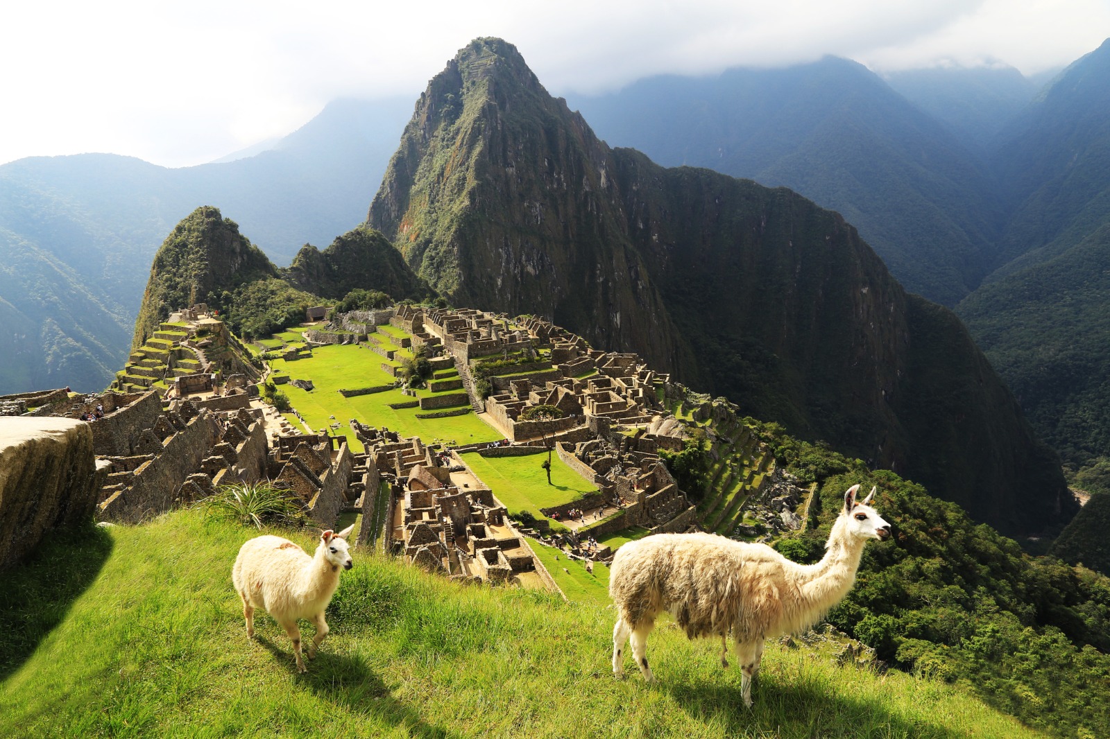 Sacred Land of the Incas: Explore Lima, Cusco & Machu Picchu