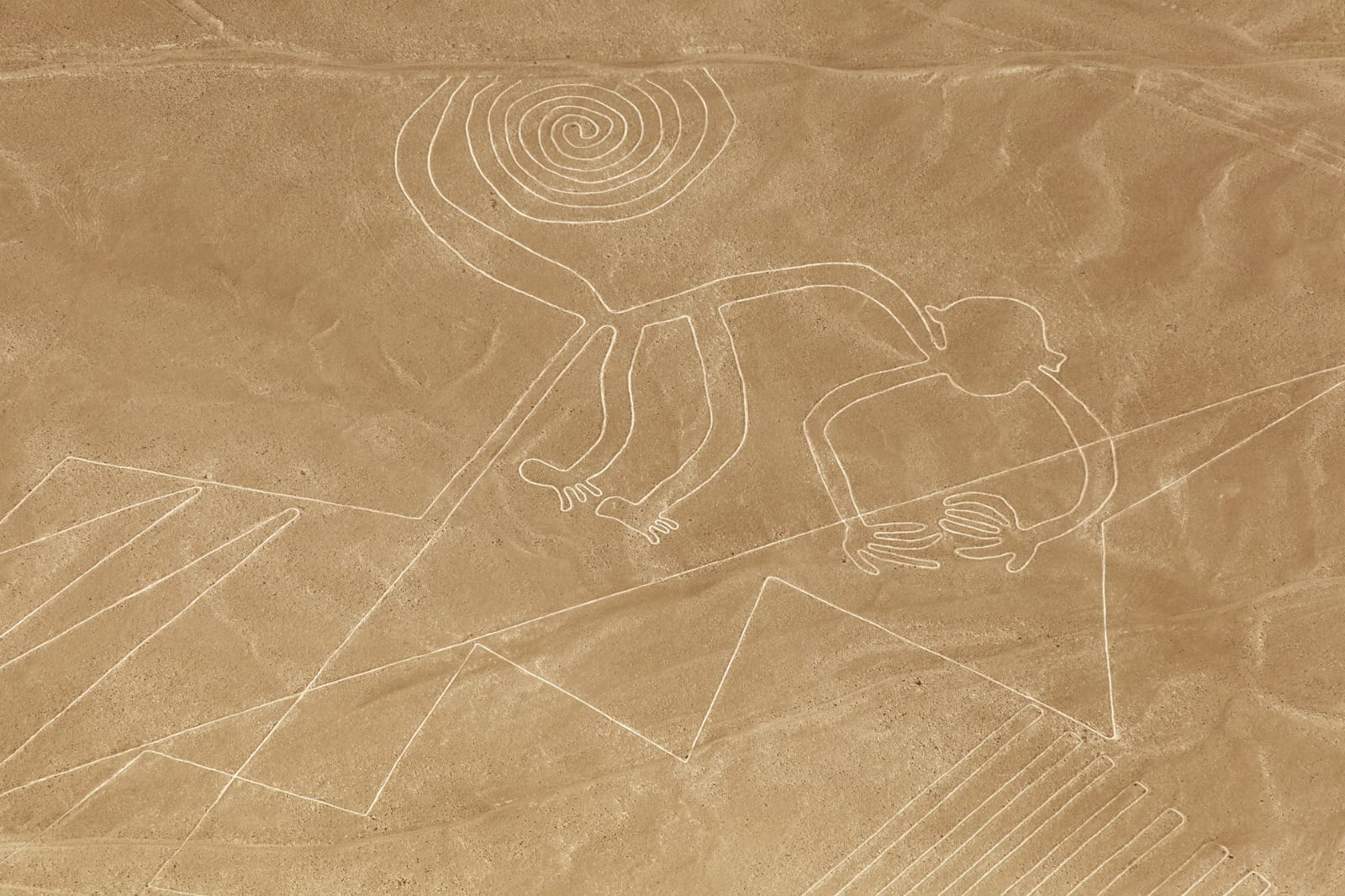 Paracas to Nazca Lines to Lima