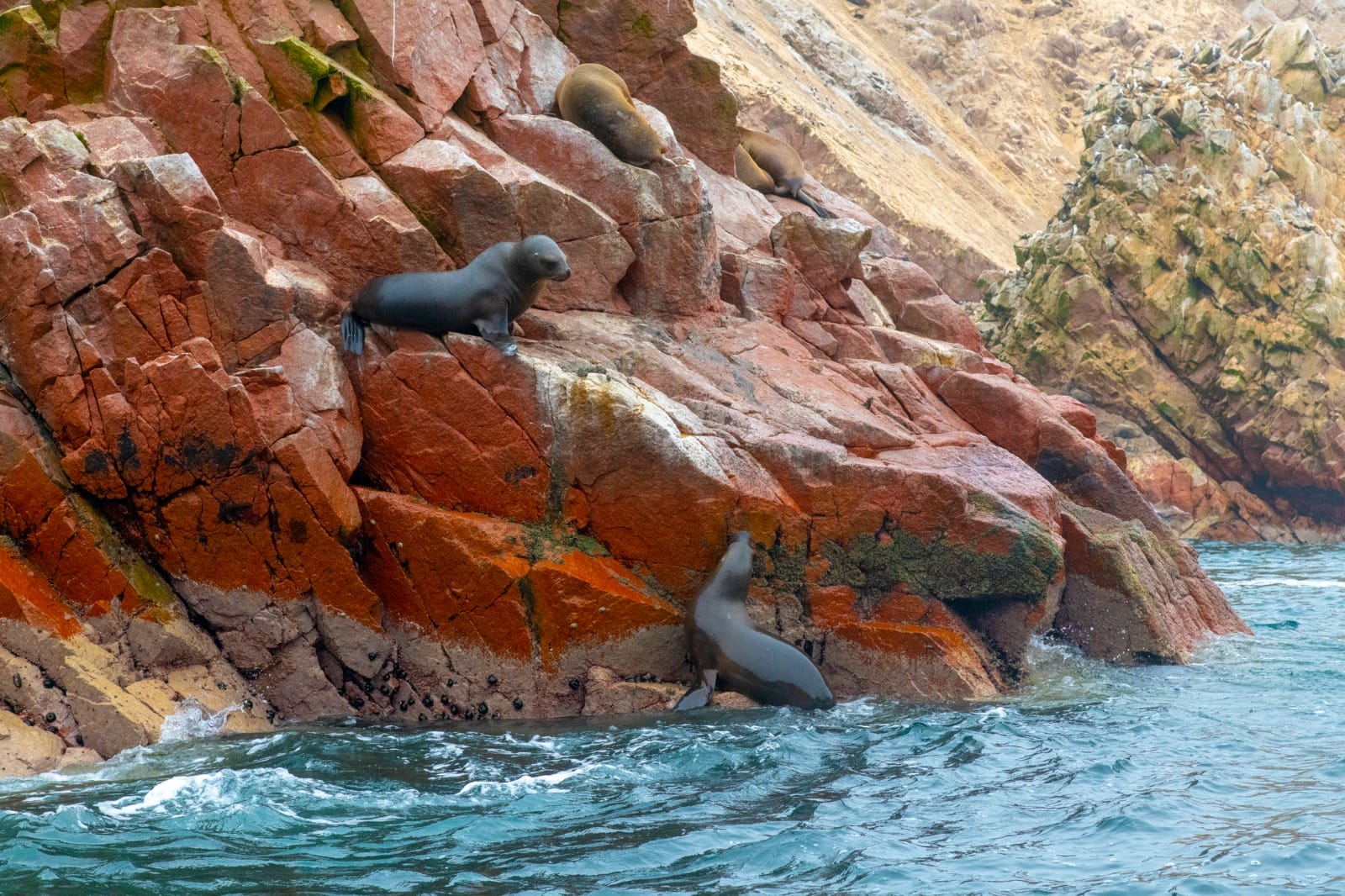 Paracas to Nazca