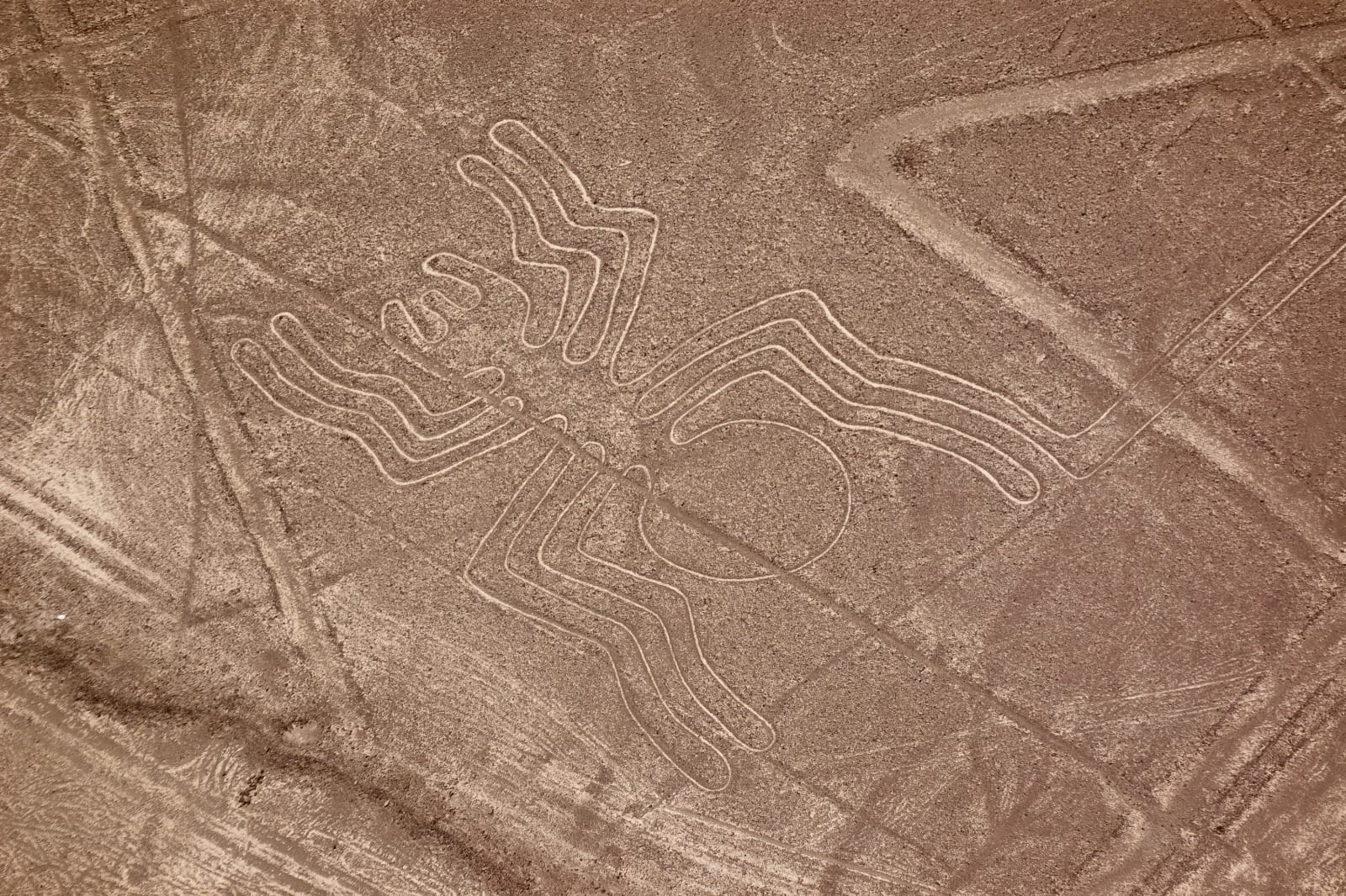 Signature Peru: Discover the Mystery of Paracas, Nazca & the Sacred Inca Ruins