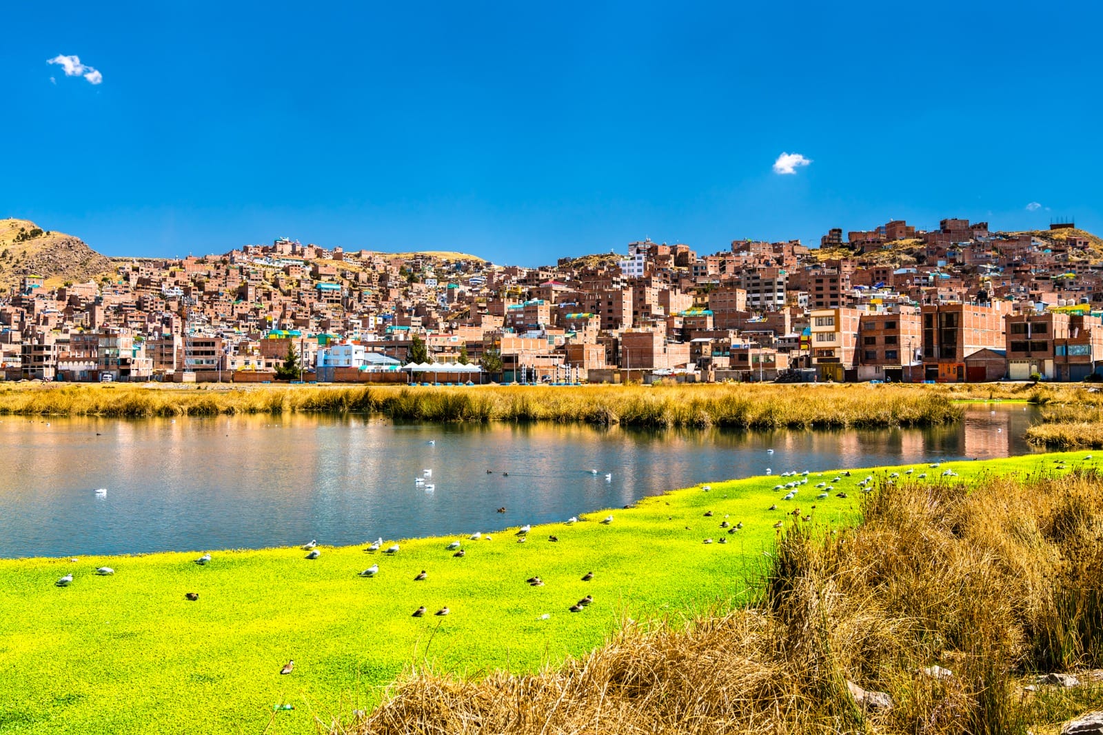 Puno