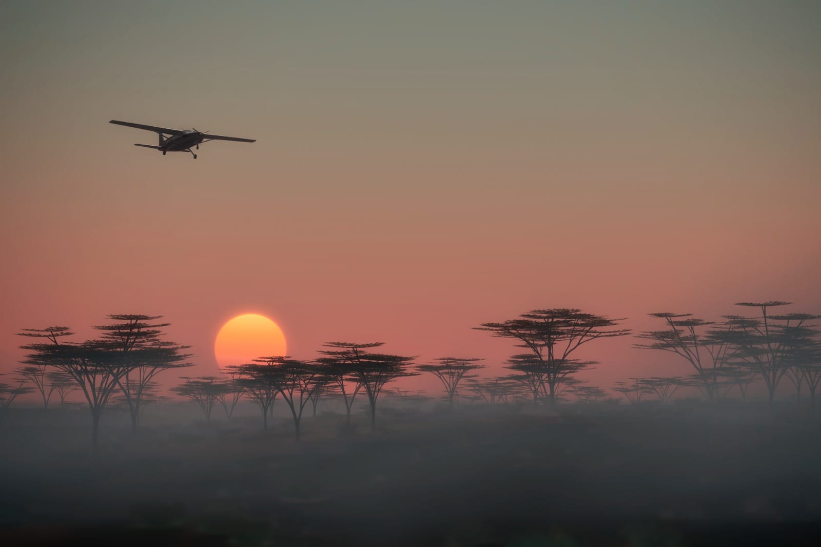 Depart